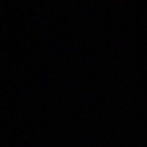 Meet your Posher, Ava